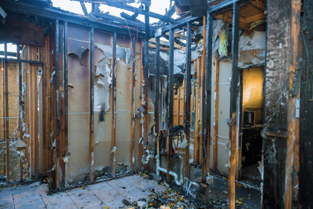 Professional Fire Damage Removal technician working in The Homesteads, TX